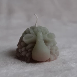 Kopie von DSCF5952 Eucalyptus & Mint Candle – Energizing & Purifying